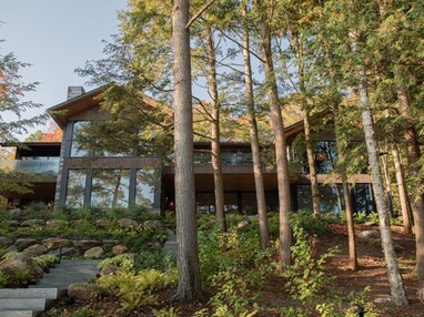 A large home in the woods with large glass windows that reflect the surrounding trees is visible behind a row of fir trees.