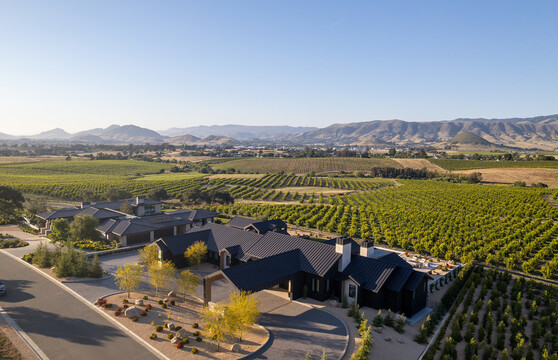 Aerial view of a contemporary San Luis Obispo residence surrounded by vineyard rows and  rolling California hills.