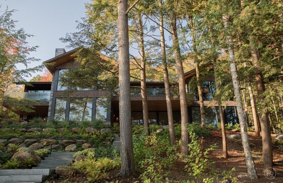 A large home in the woods with large glass windows that reflect the surrounding trees is visible behind a row of fir trees.