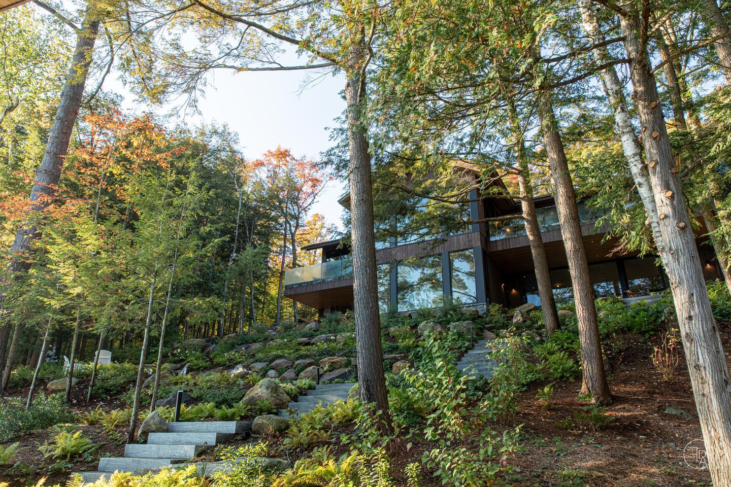 A house with large glass windows is barely visible in the forest, and steps can be seen descending from it.